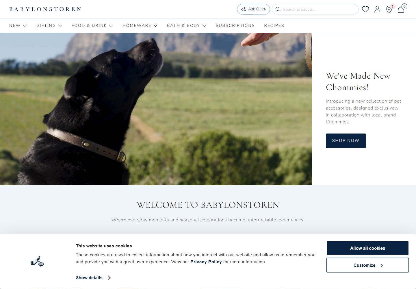 Babylonstoren website homepage screenshot