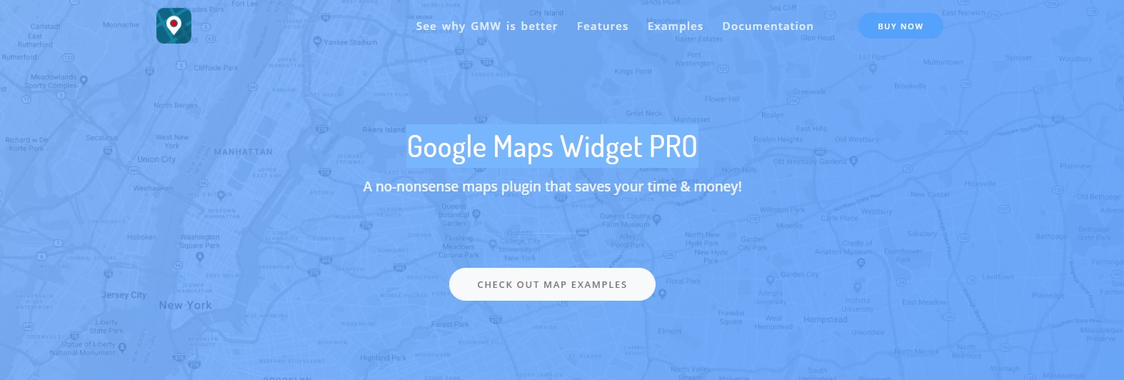 Google Maps widget Pro