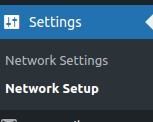 Install the WordPress Multisite Network