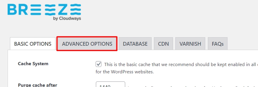 Advanced settings in Breeze WordPress plugin