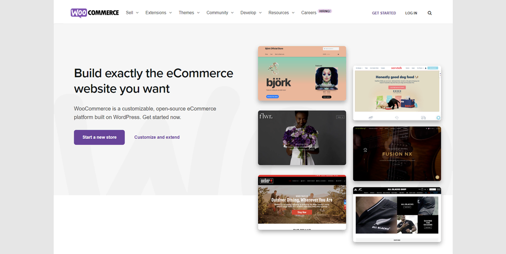 Why WordPress? The Top Advantages for Small Business Websites screenshot 3