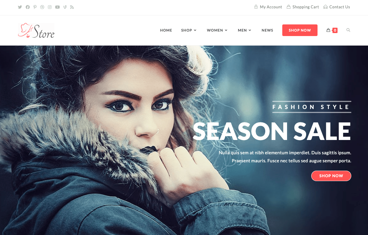 10 Best WordPress eCommerce Themes screenshot 11