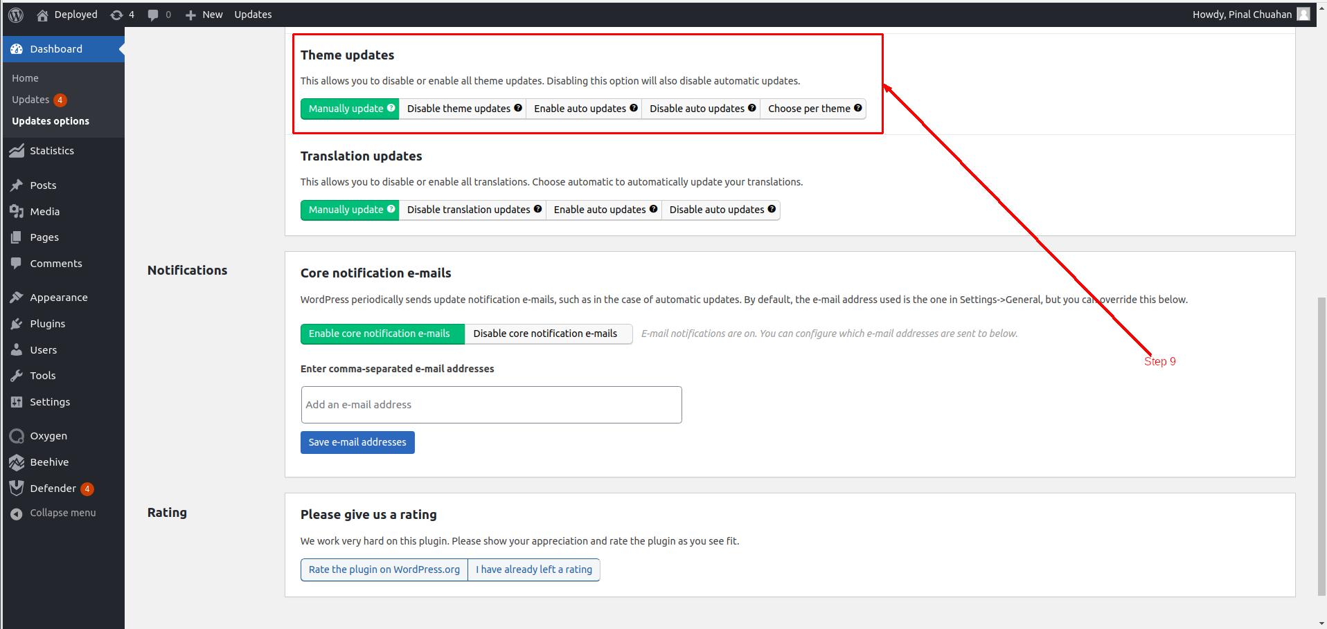 Update themes settings in Easy Updates manager