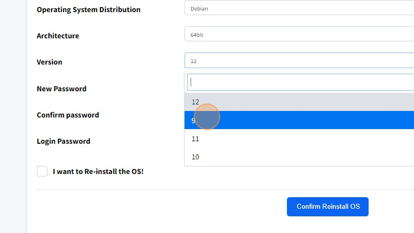 How to Re-install the OS on a VPS - Step 10