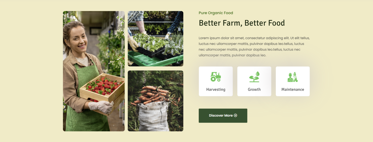 10 Best WordPress eCommerce Themes screenshot 27