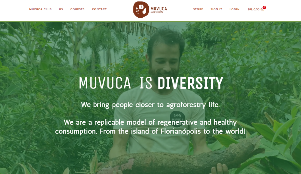 How to Design a Website: 6 Steps for an Effective Site Design screenshot 9