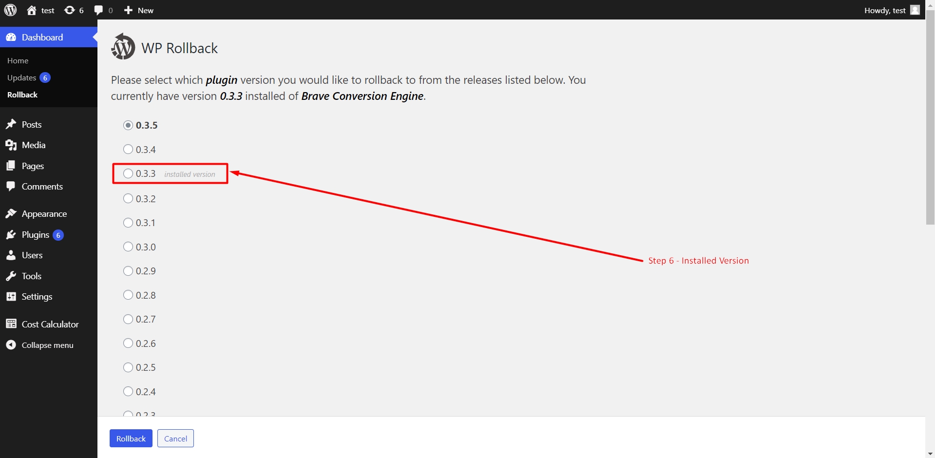 Installed version of the plugin