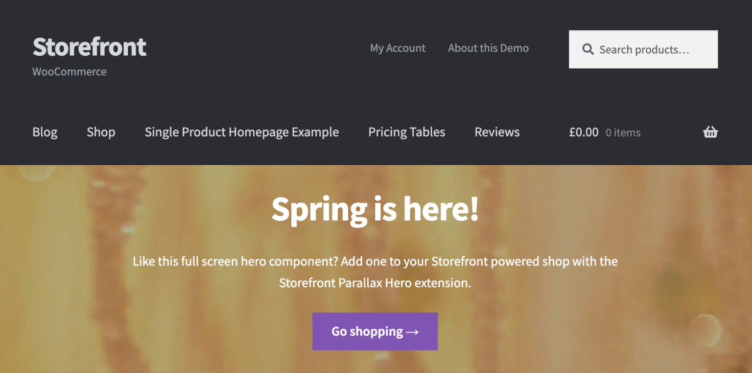 10 Best WordPress eCommerce Themes screenshot 4