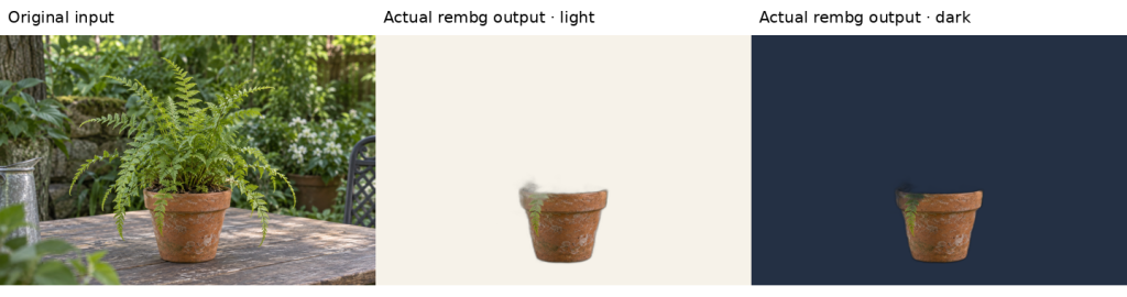 Fern before background removal and failed cutouts on light and dark backgrounds, with most leaves missing