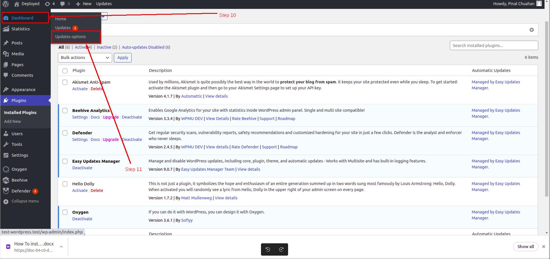 Access Update Manager in WordPress