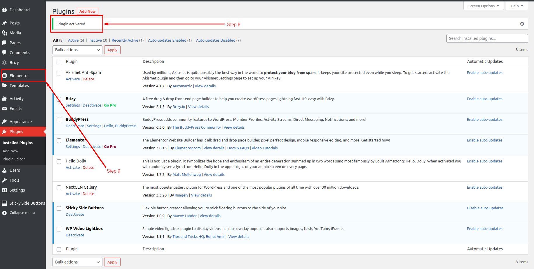 How to install Elementor in WordPress - Step 8 and 9