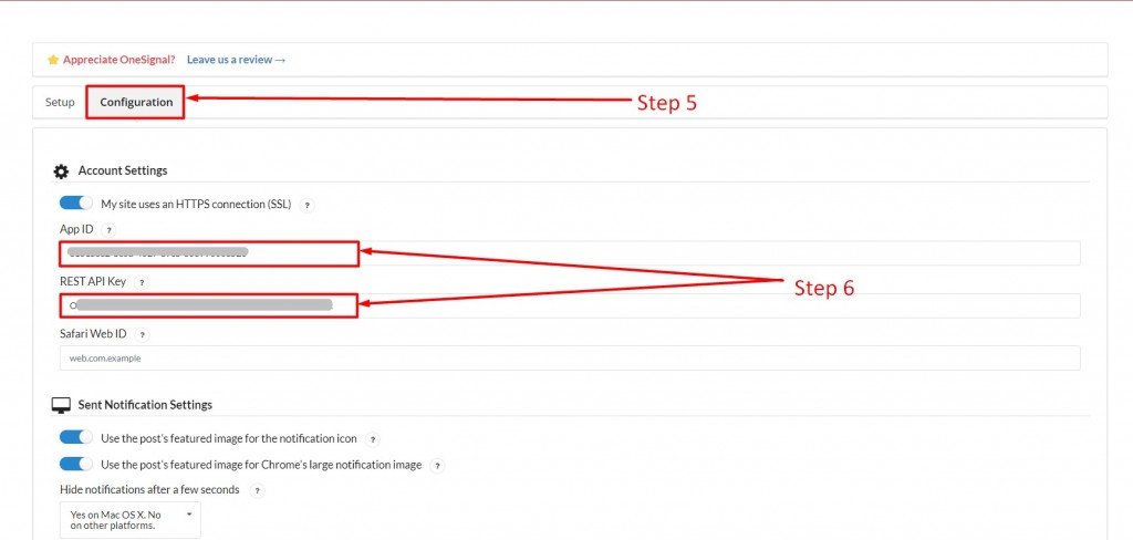 Step 5-6
