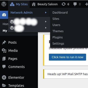 WordPress multi-site network demo