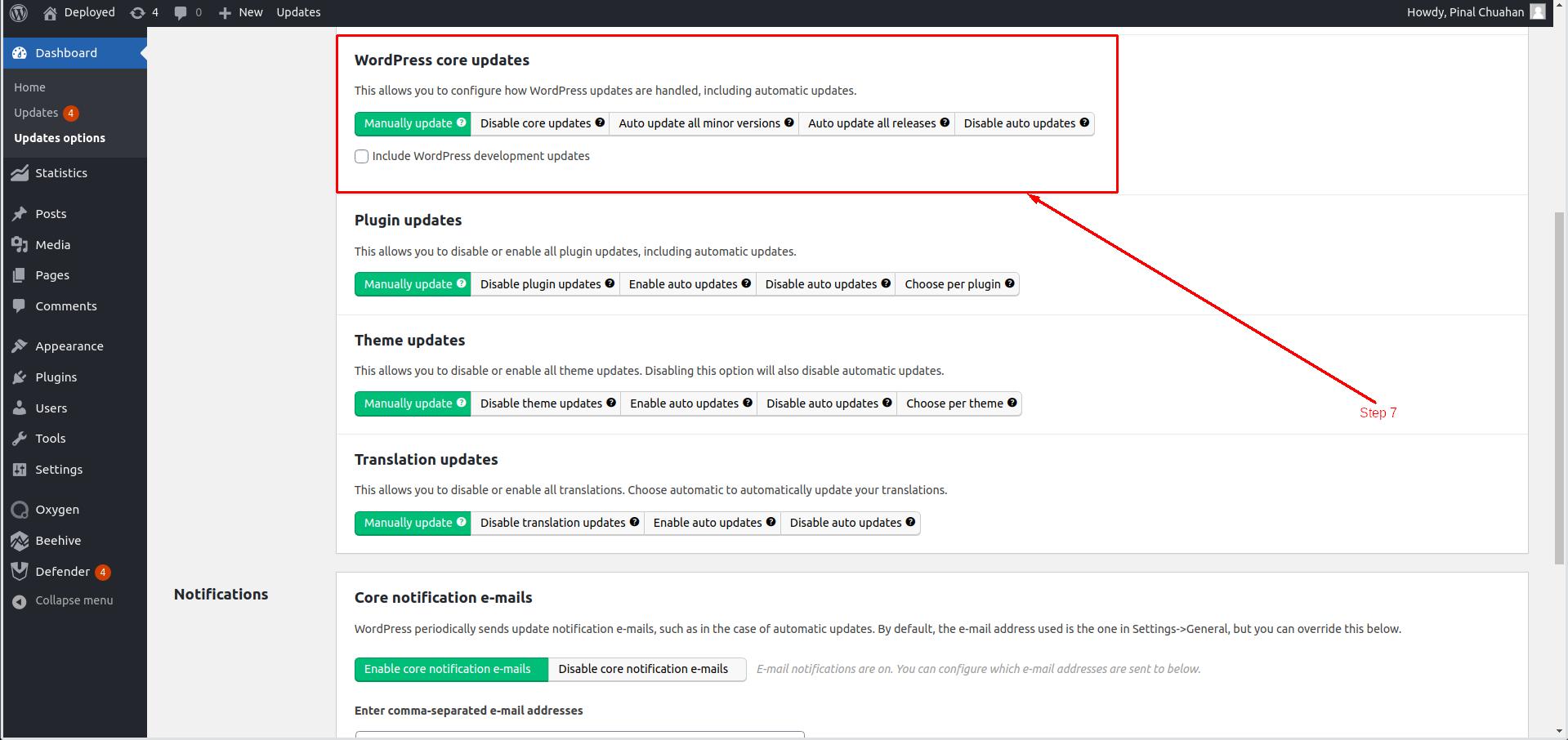 Manage WordPress Core Updates in Update manager