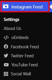 Instagram feed option in WordPress