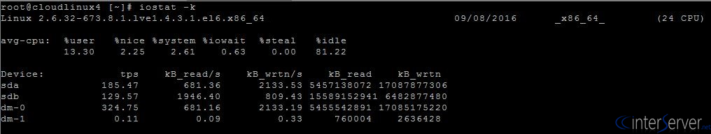 iostat Command