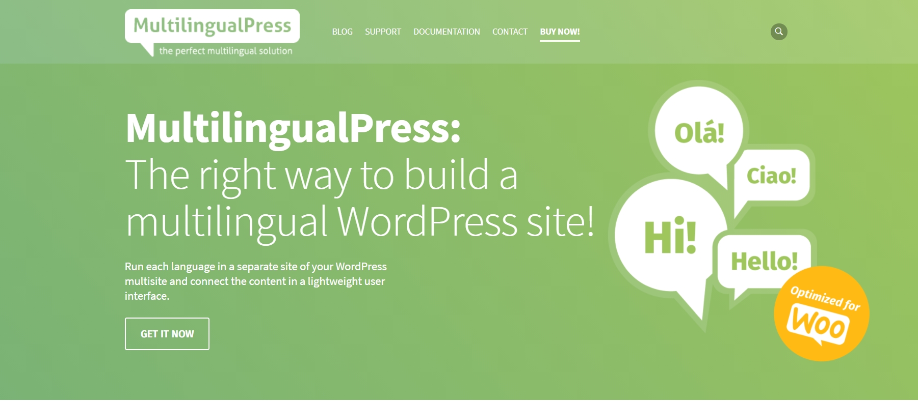 MultilingualPress - Create multilingual WordPress websites