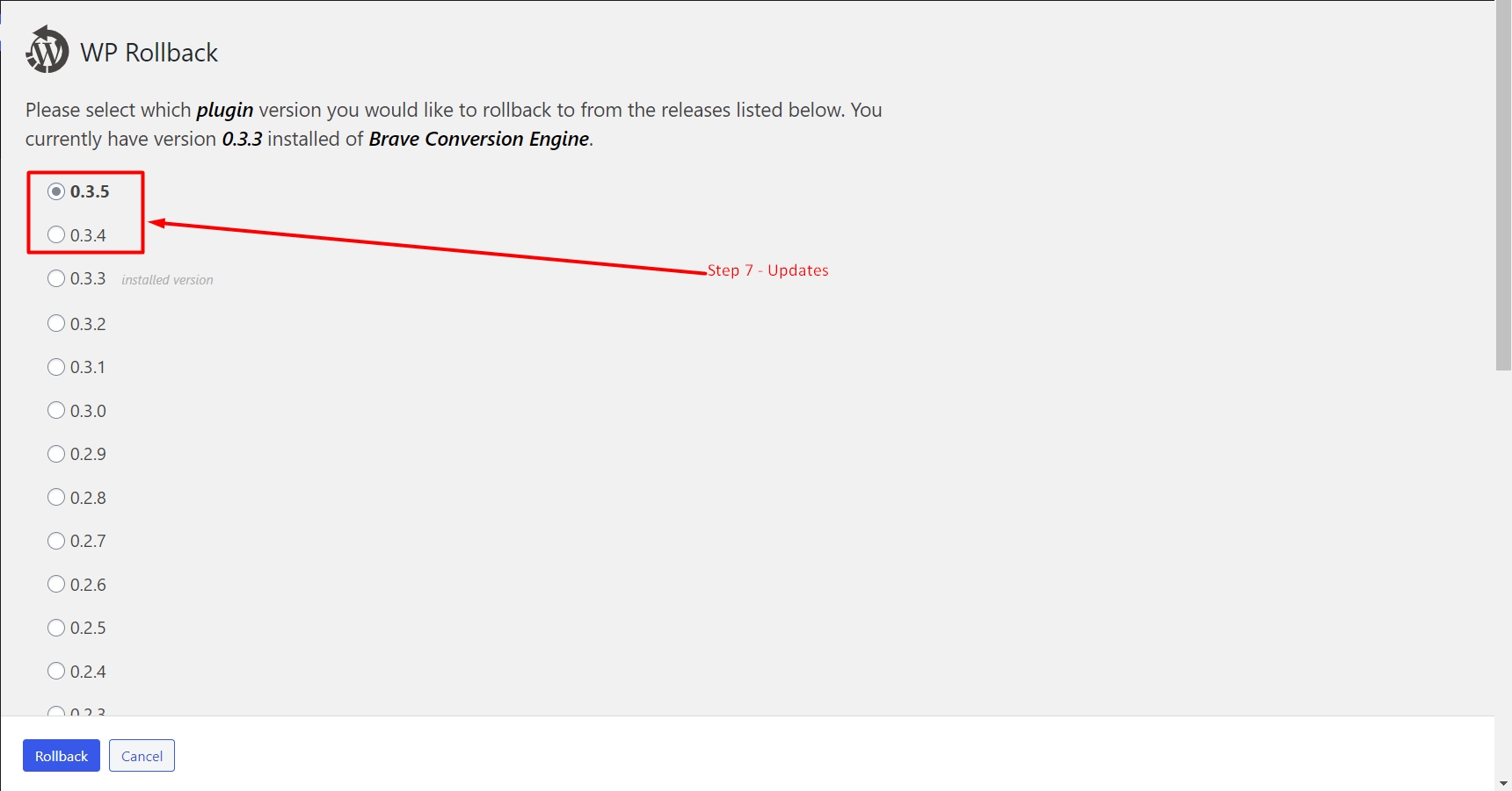 Upgrade plugin version in WordPress