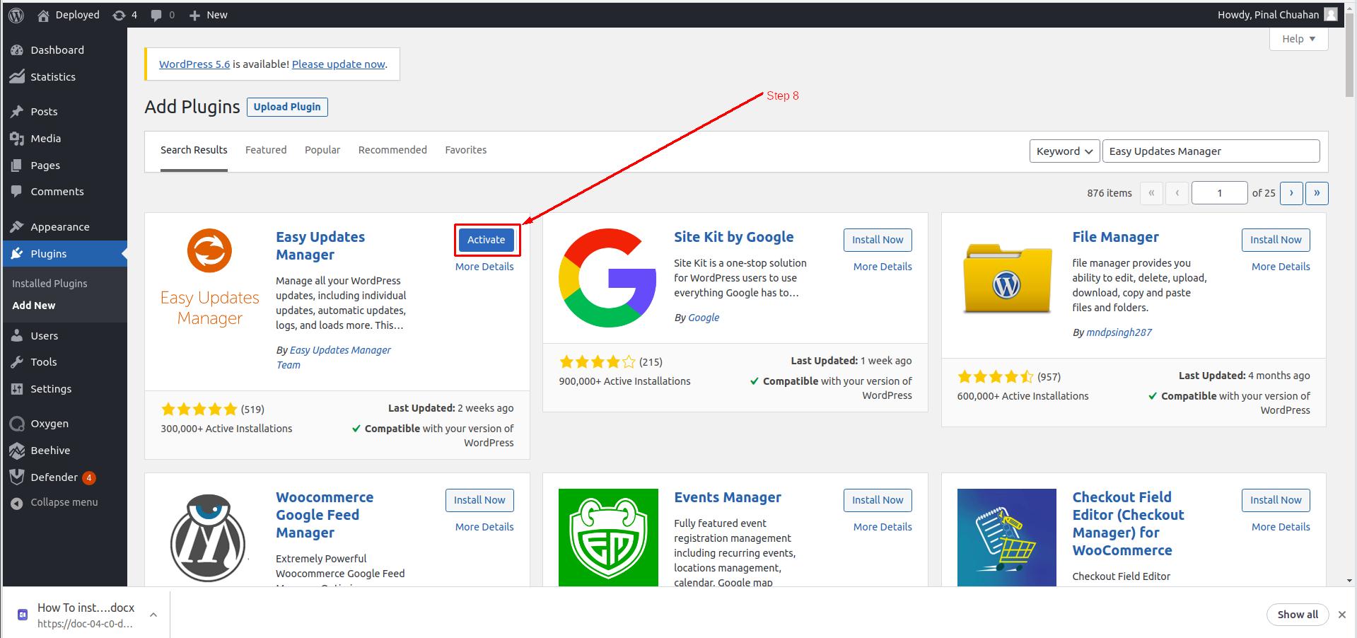 Activate Easy Updates Manager in WordPress