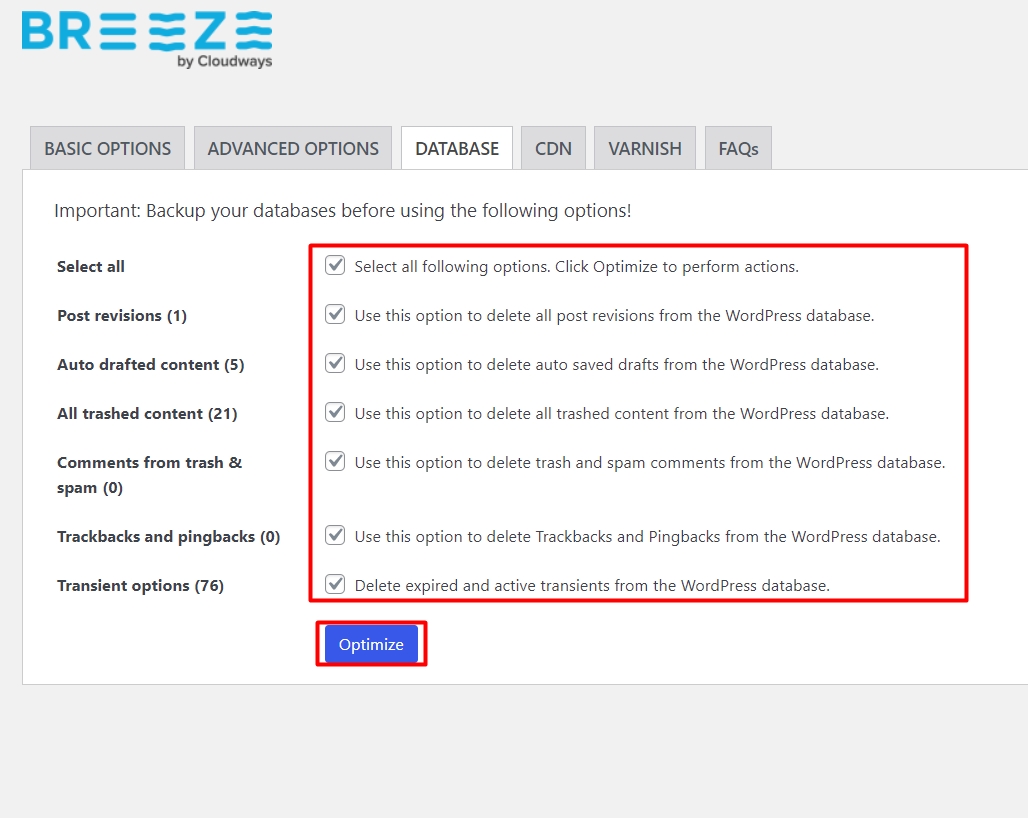 Database optimisation options in Breeze plugin by Cloudways