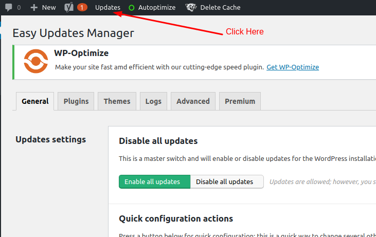Enable or Disable Automatic Updates in WordPress using plugin - Step 1