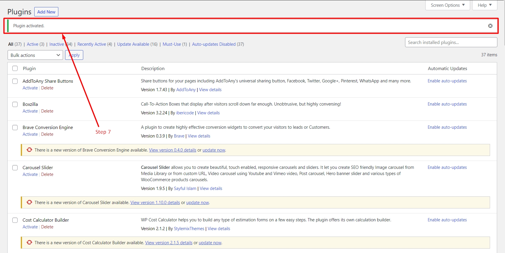 Activate plugin in WordPress site