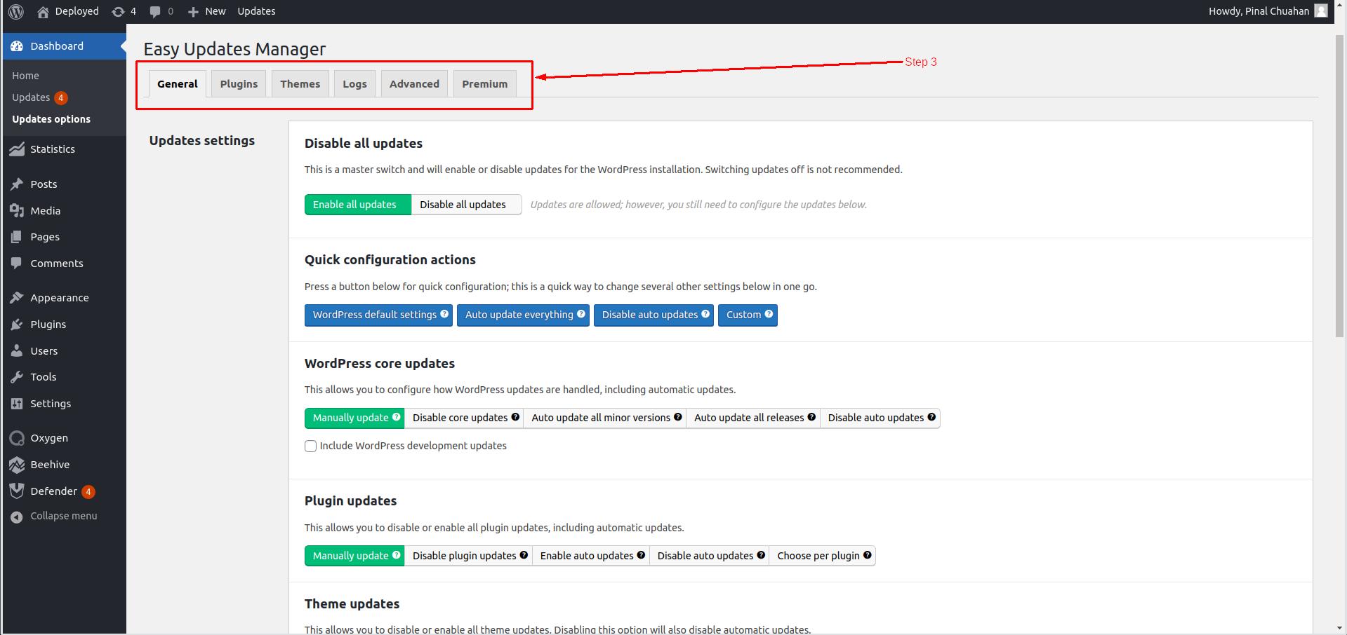 Options available in Easy Updates manager