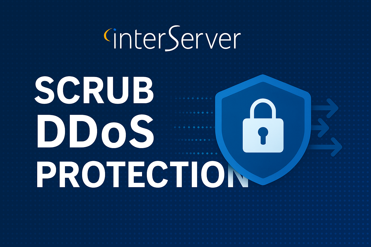 InterServer Scrub DDoS Protection dashboard