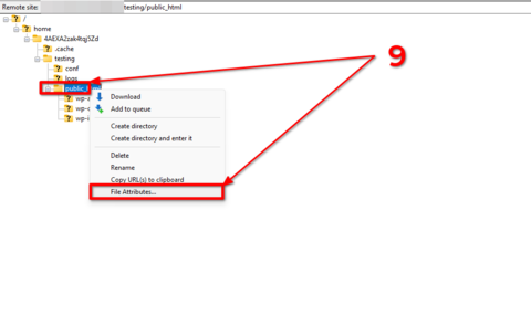 Step 9