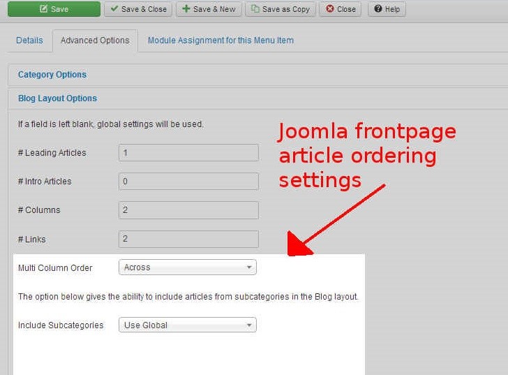 Joomla 3.1