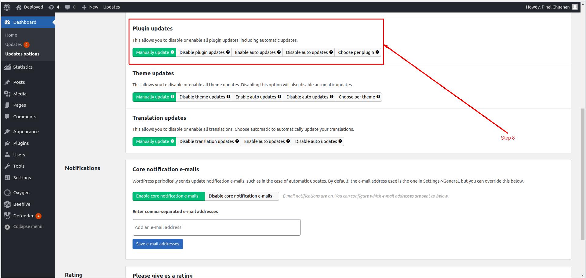 Manage Plugin Updates in Easy Updates manager