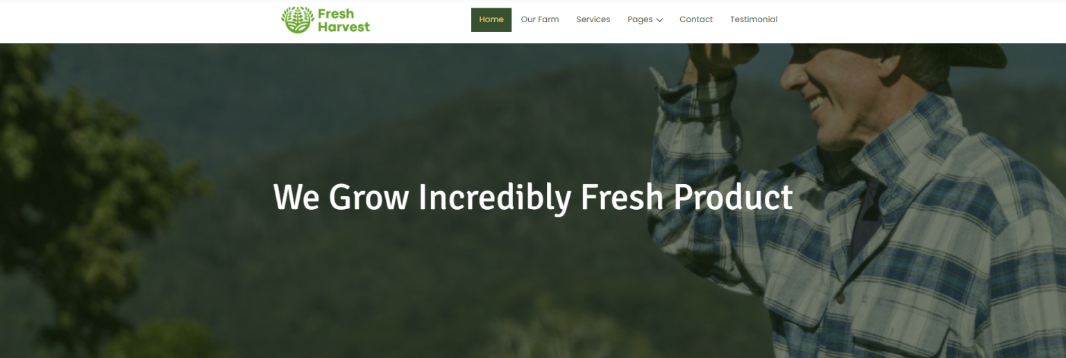 10 Best WordPress eCommerce Themes screenshot 26