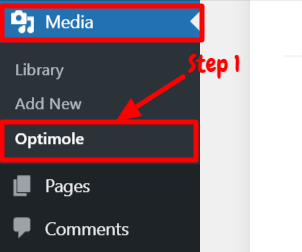 Step 1