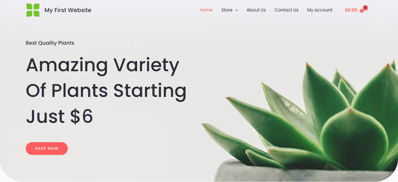 10 Best WordPress eCommerce Themes screenshot 1