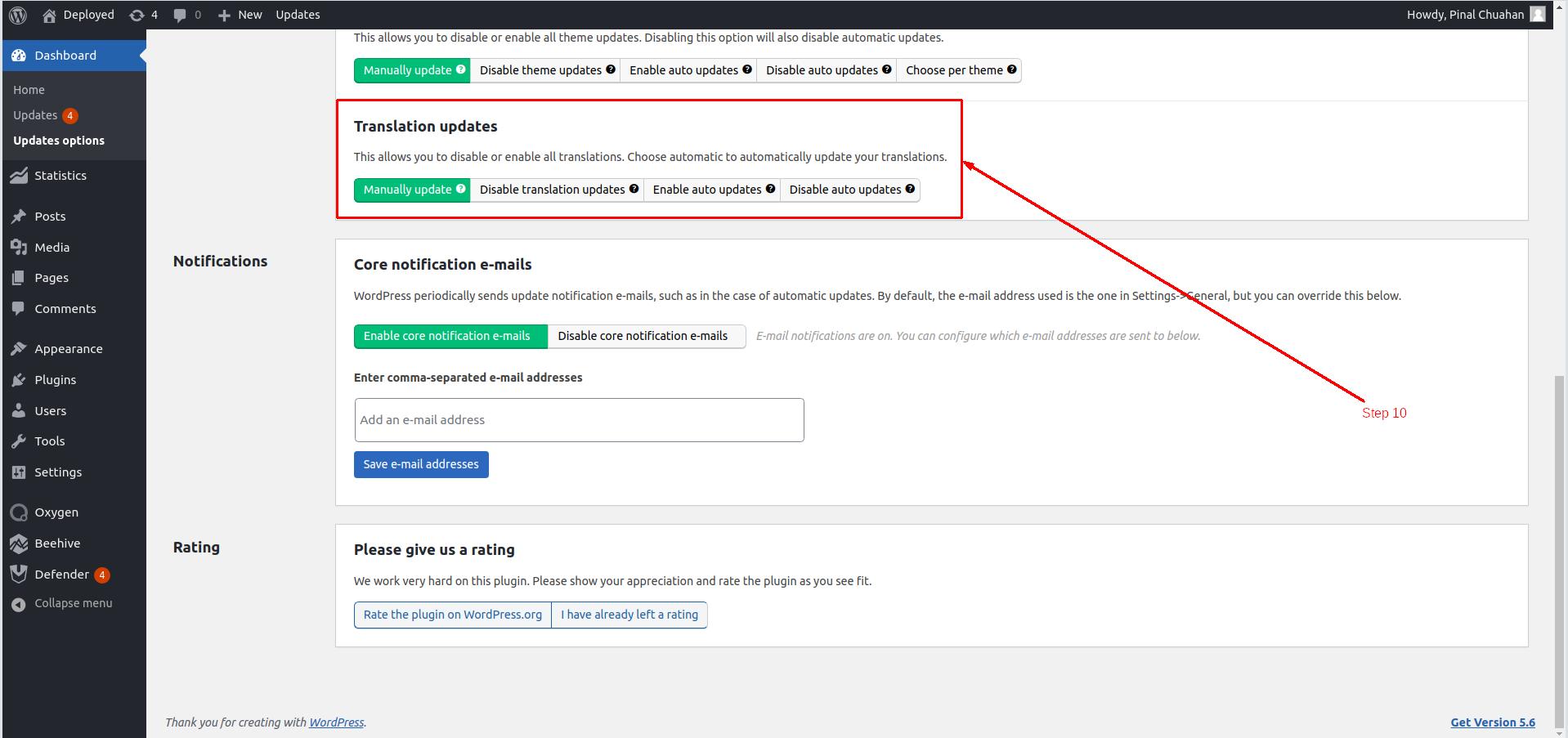 Manage translation updates in WordPress