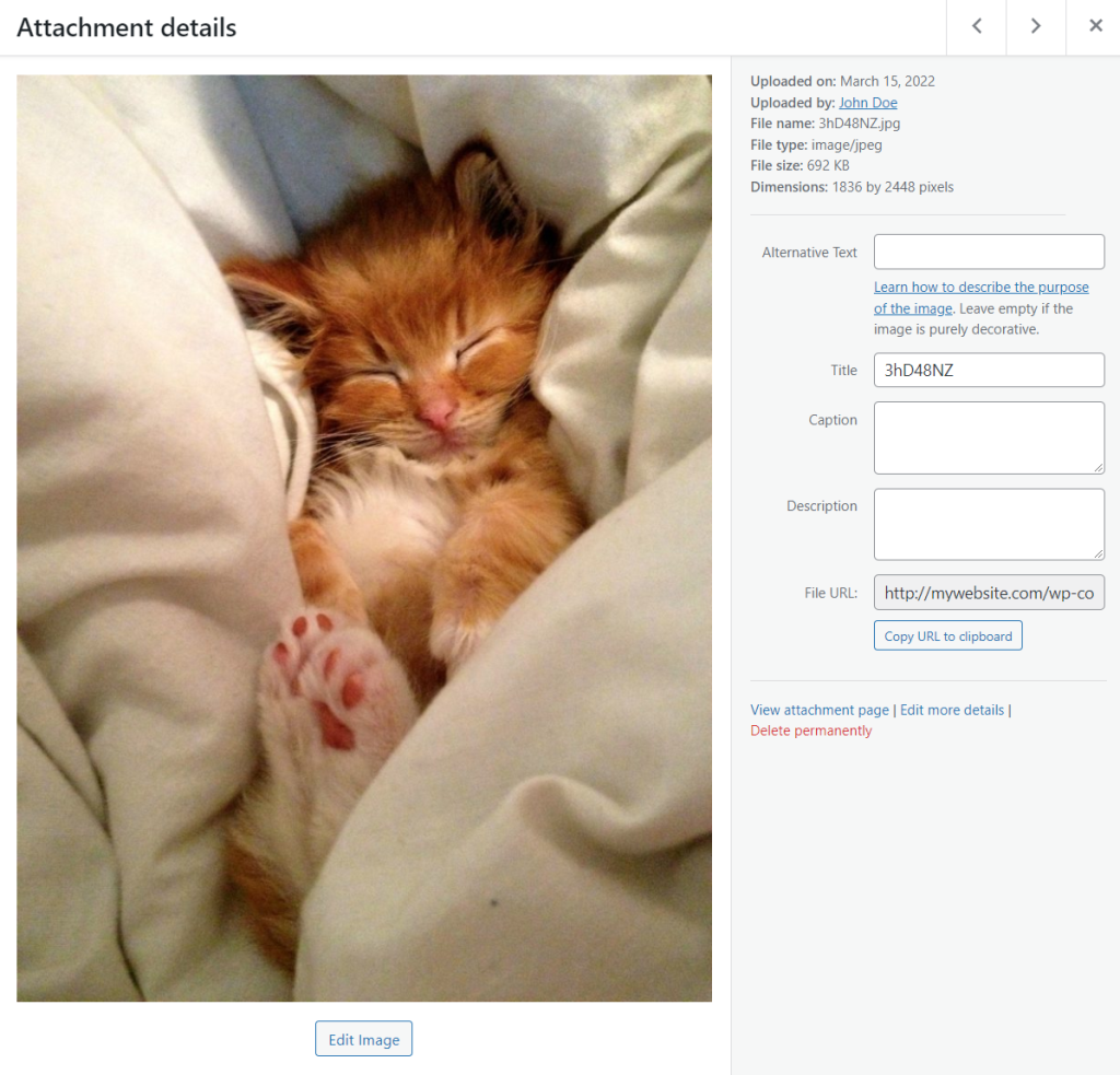 The Ultimate WordPress Administration Guide 2024 screenshot 14