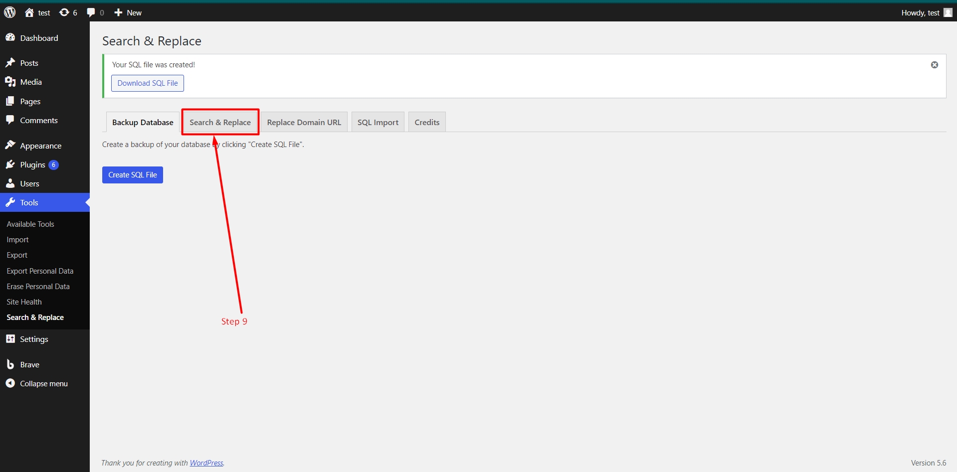 Search and Replace tab in WordPress