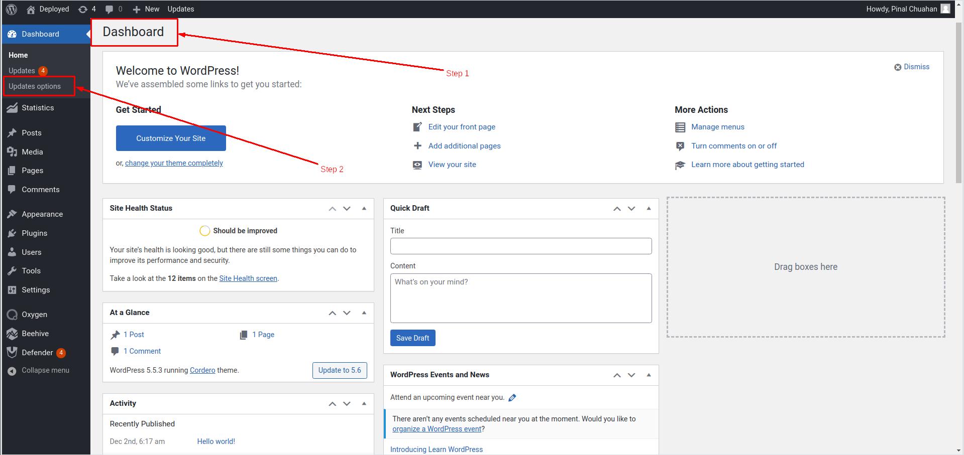 Navigate to the Easy update plugin