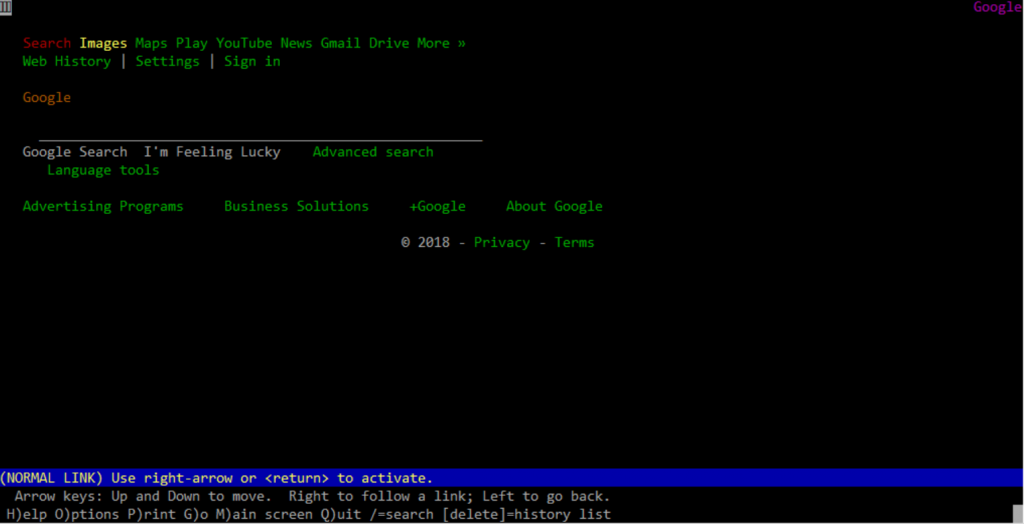 Screen shot of LYNX Web Browser open to google.com
