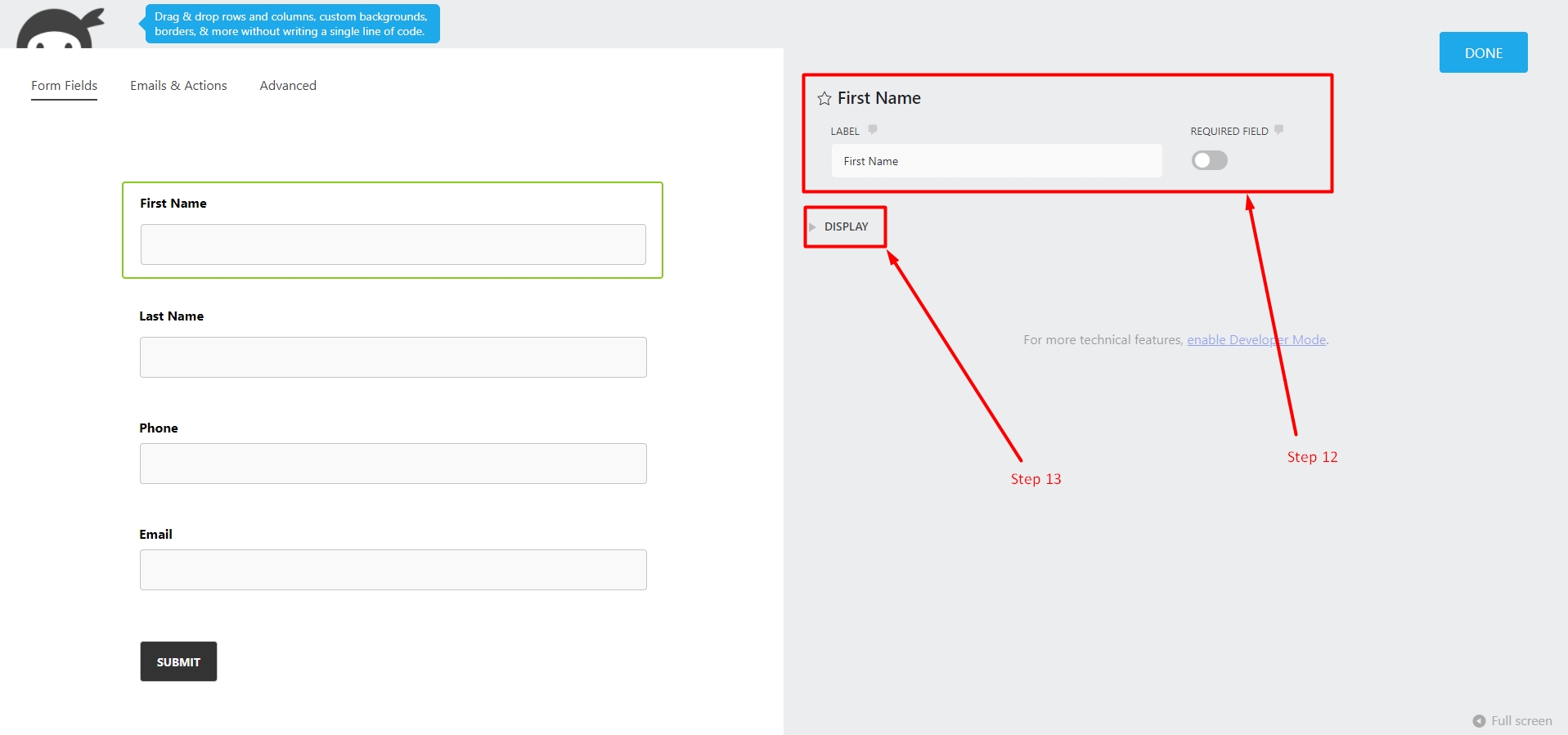 Display options for Ninja forms field