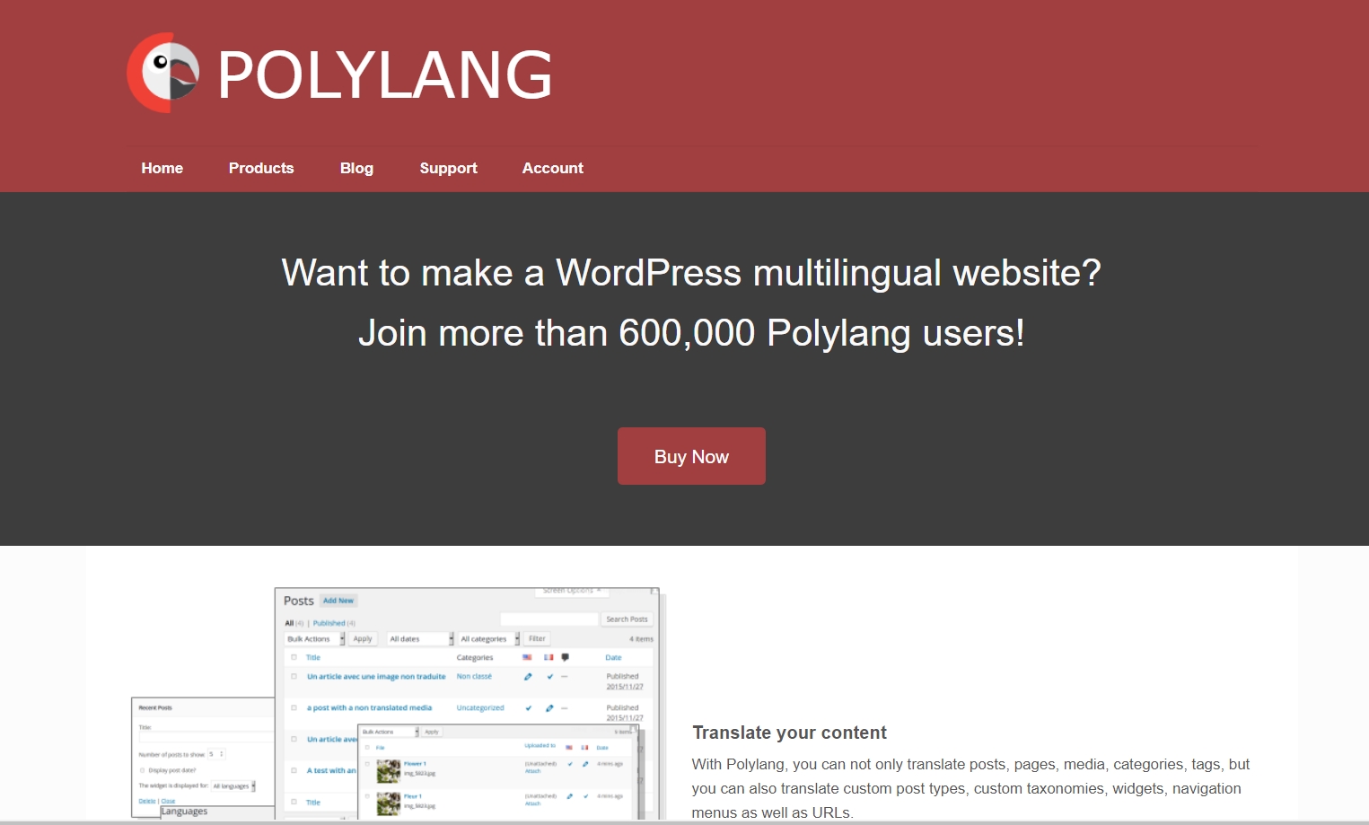 Polylang – Making WordPress multilingual